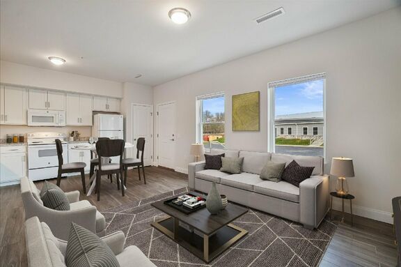 1 Bedroom Living Room Kitchen